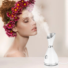 Load image into Gallery viewer, RAYN Nano Ionic Facial Deep Cleaning Steamer
