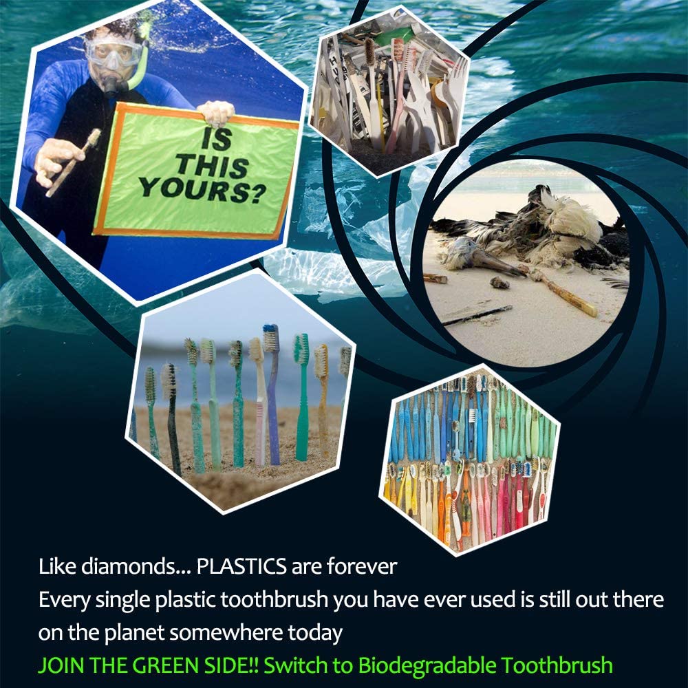 PUREGLOW Biodegradable Bamboo Toothbrush