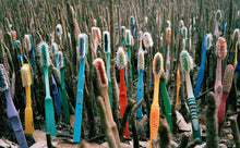 Load image into Gallery viewer, PUREGLOW Biodegradable Bamboo Toothbrush
