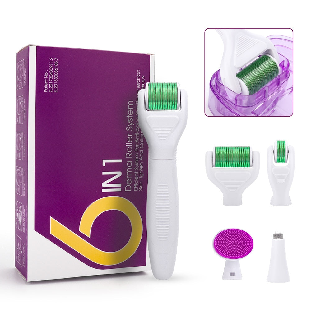 RYLI Microneedle Derma Roller Kit