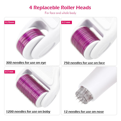 RYLI Microneedle Derma Roller Kit