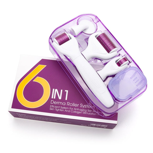 RYLI Microneedle Derma Roller Kit