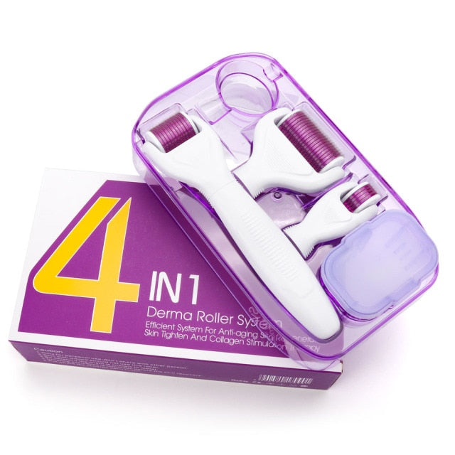 RYLI Microneedle Derma Roller Kit