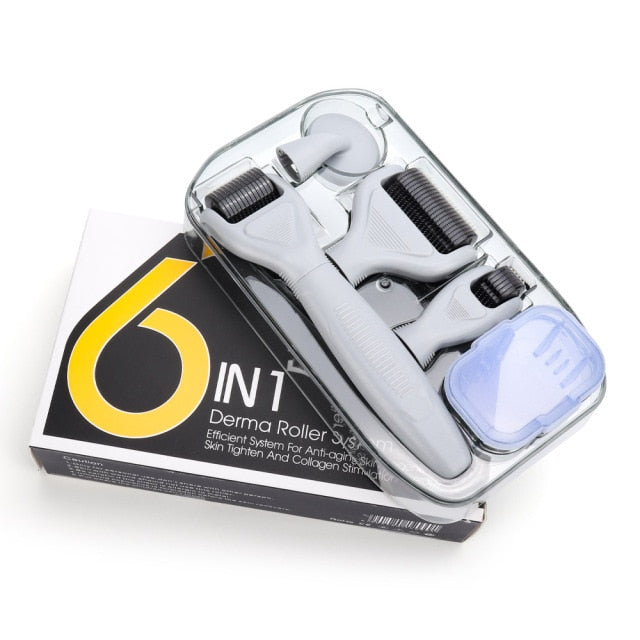 RYLI Microneedle Derma Roller Kit